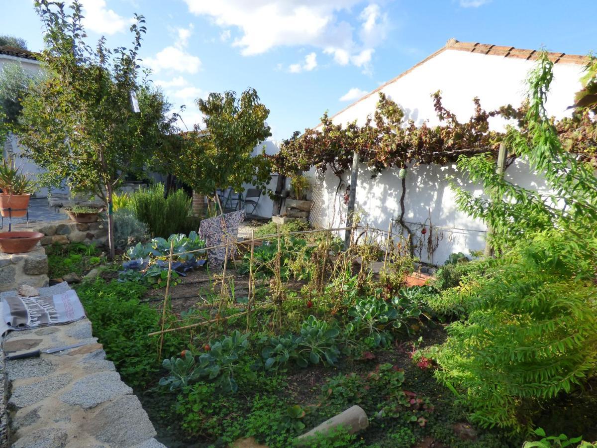 Solar Da Cumeada Bed & Breakfast Reguengos de Monsaraz Exterior photo